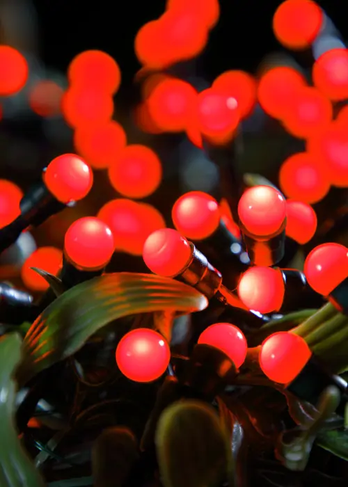 A photo of 100 Battery Operated Red Multifunction Berry String Lights
