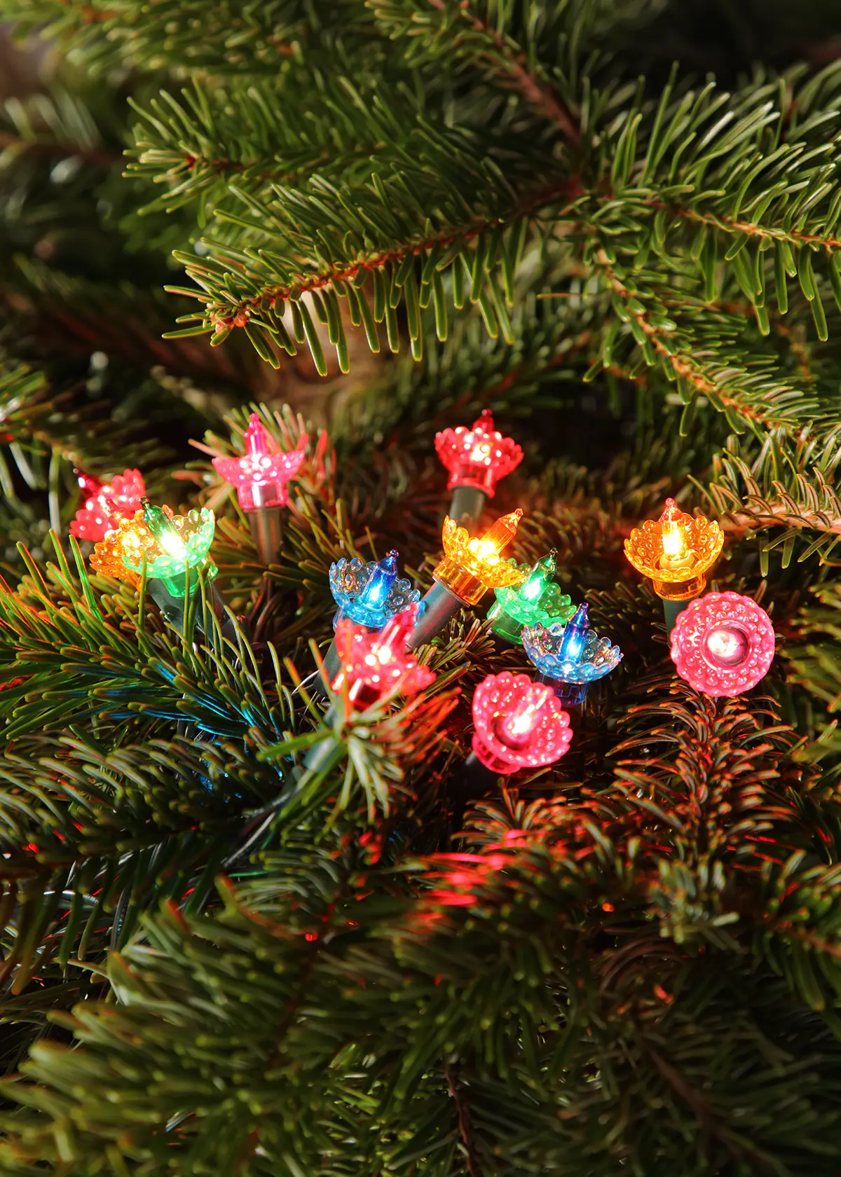 A photo of 40 Multi-Colour LED Pickwick Classic String Lights