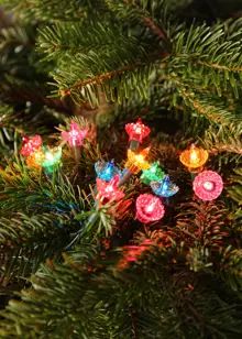 40 Multi-Colour LED Pickwick Classic String Lights