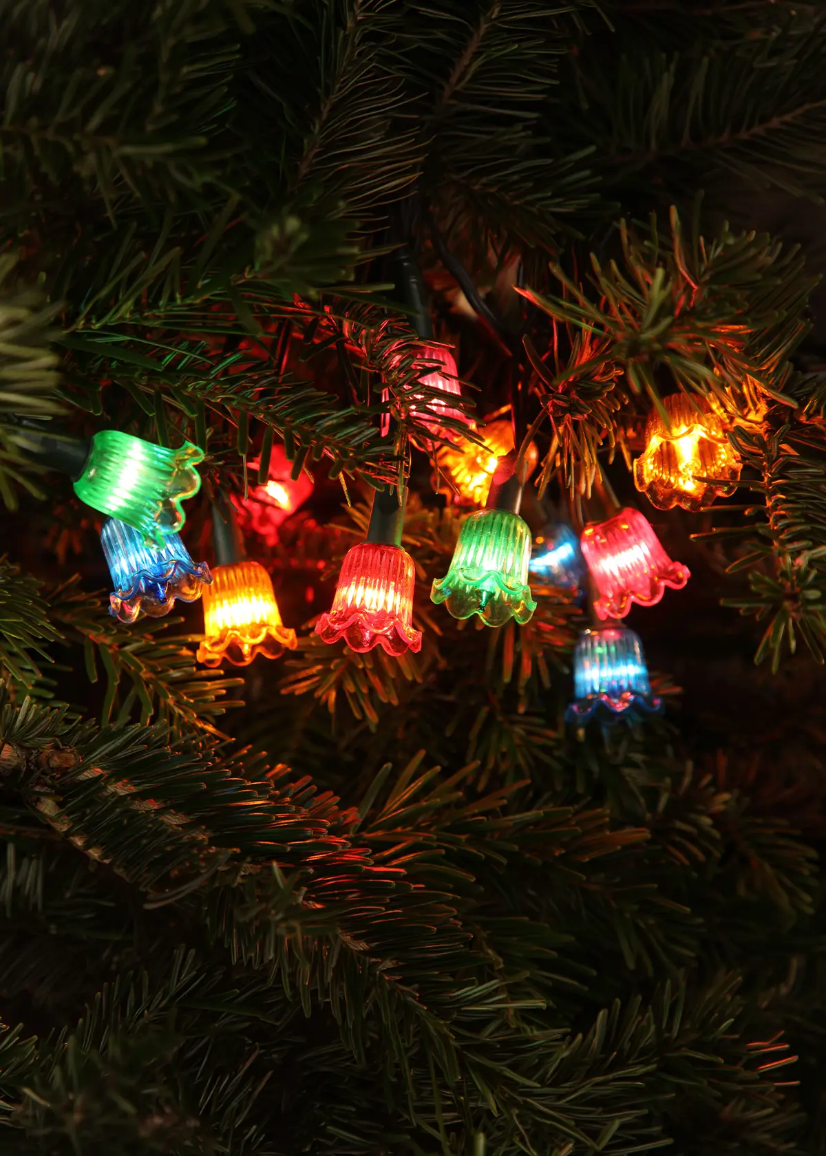 A photo of 40 Multi-Colour LED Canterbury Classic String Lights