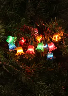 40 Multi-Colour LED Canterbury Classic String Lights