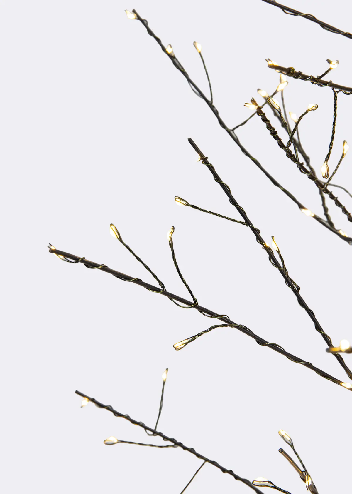 A photo of Micro Warm White LED Black Twig Tree 1.8m