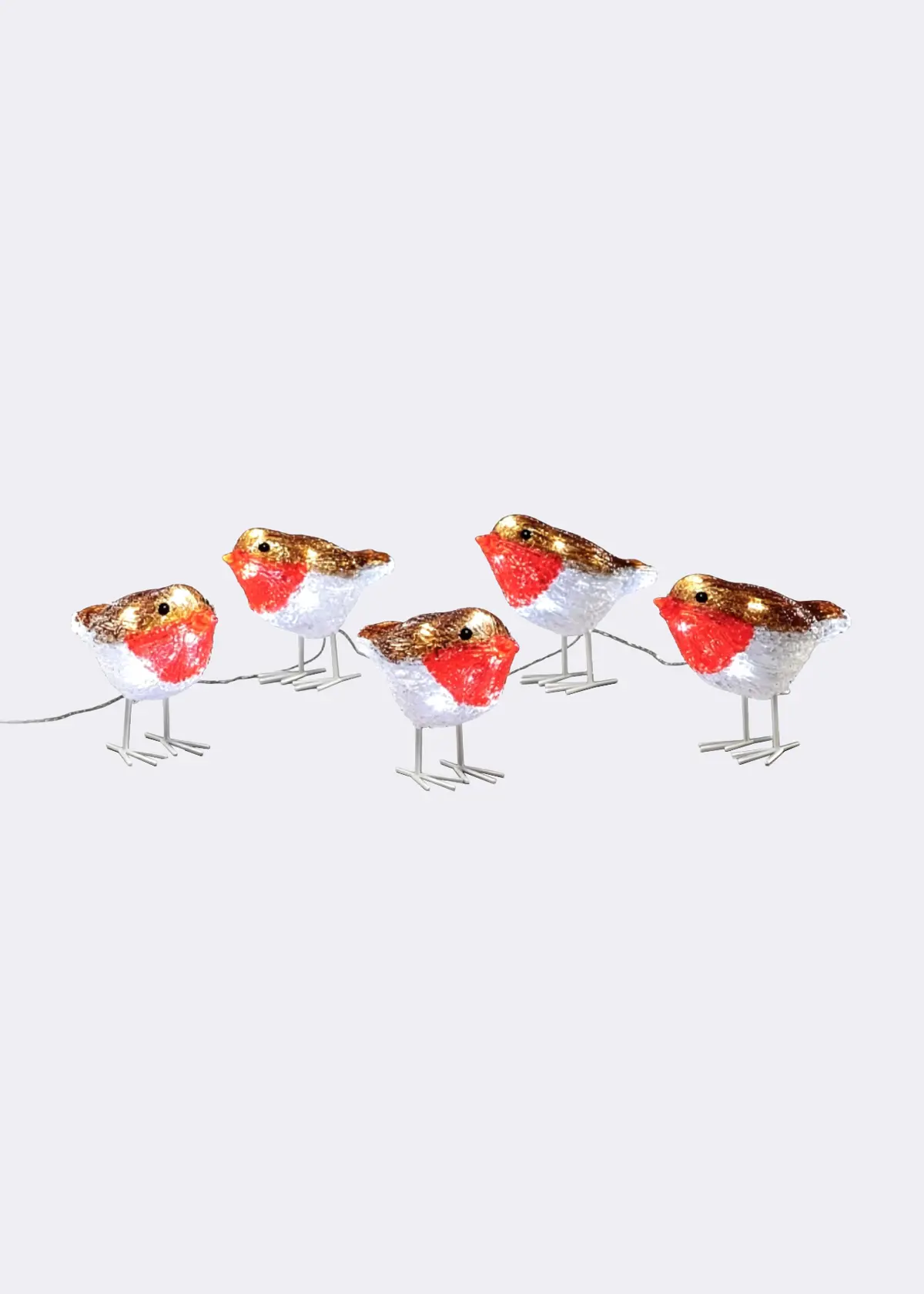 A photo of Set Of 5 Acrylic Robin String Lights