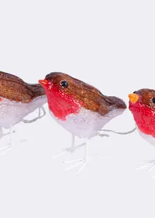 Set Of 5 Acrylic Robin String Lights