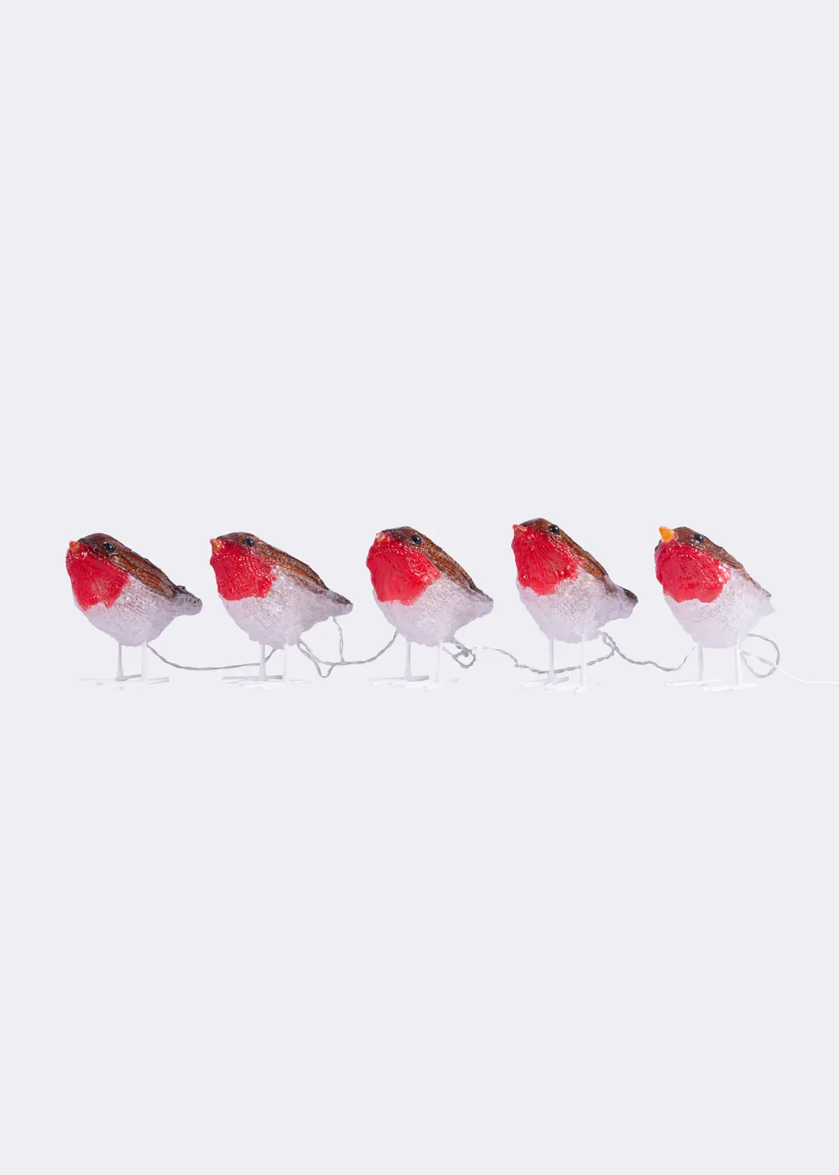 A photo of Set Of 5 Acrylic Robin String Lights