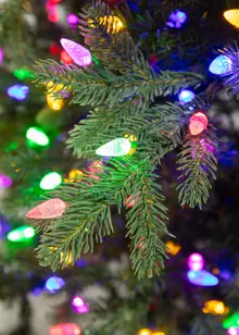 6.5ft Alberg Pre-Lit Artificial Christmas Tree