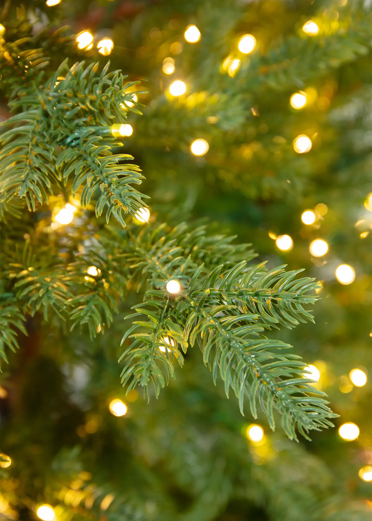 A photo of 5.5ft Nevado Pre-Lit Artificial Christmas Tree
