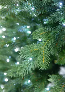 5.5ft Nevado Pre-Lit Artificial Christmas Tree