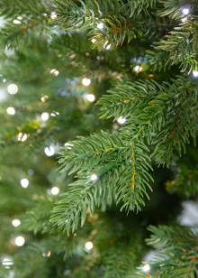 5.5ft Nevado Pre-Lit Artificial Christmas Tree