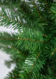 6ft Royal Fir Artificial Christmas Tree