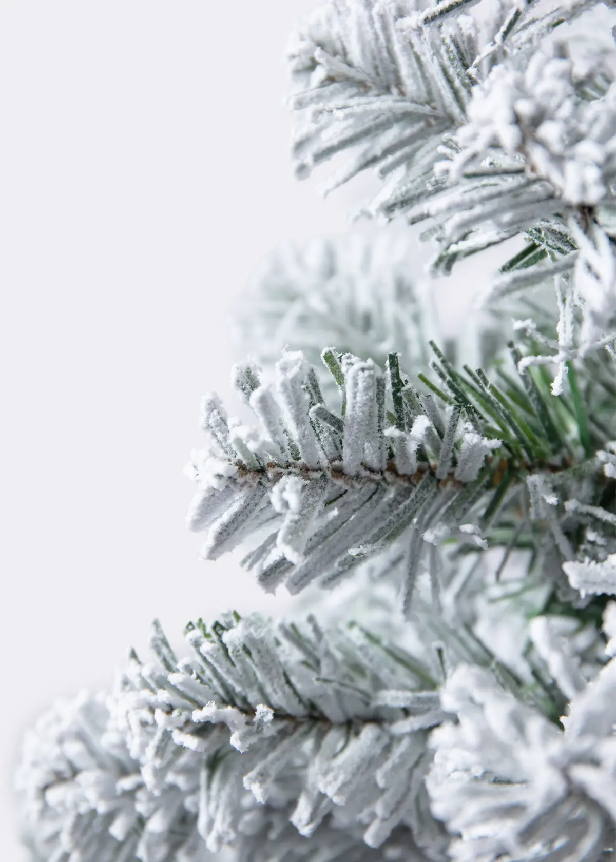 A photo of 2ft Royal Snowy Fir Artificial Christmas Tree