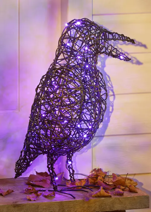 A photo of Plastic Rattan Crow LED Light 50cm