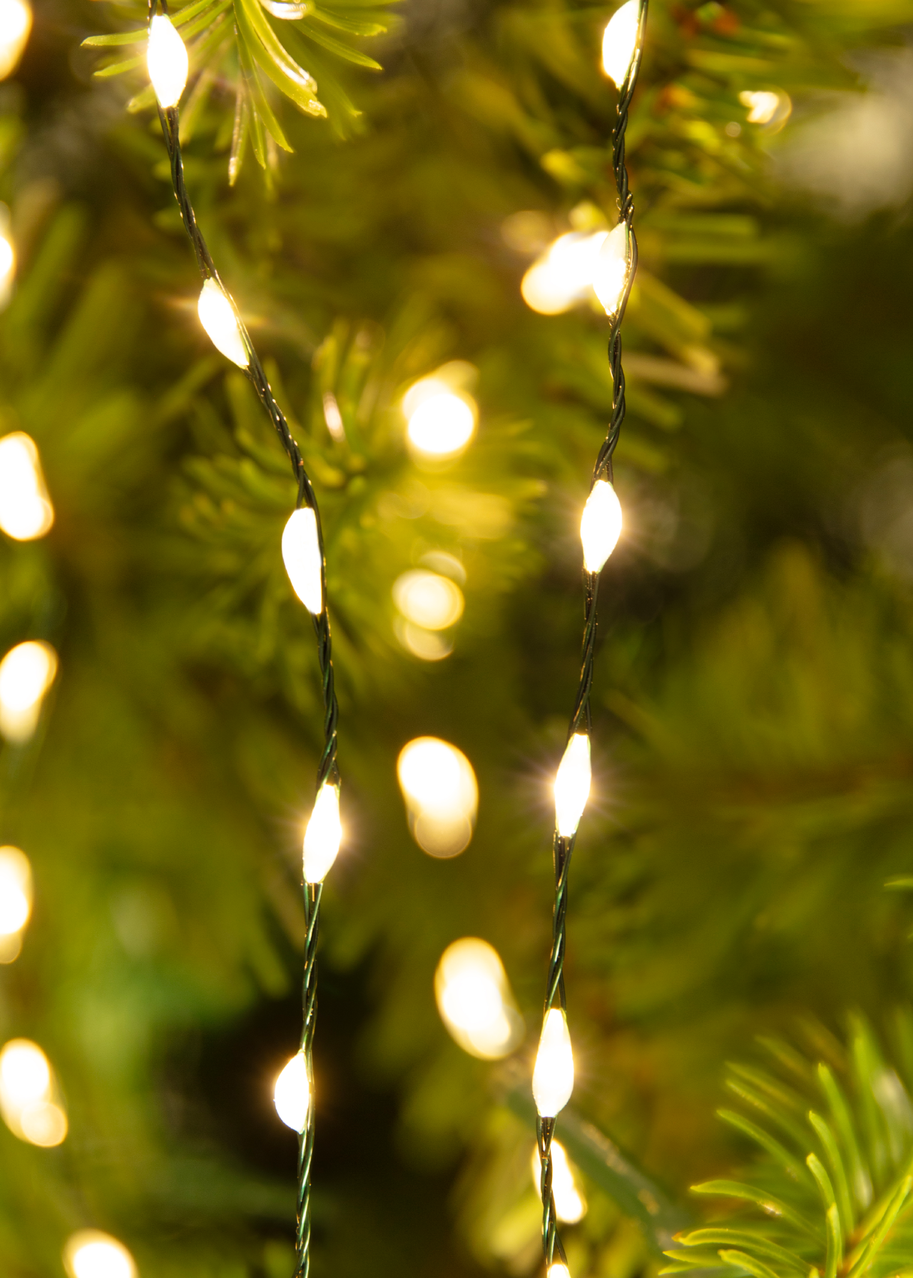 480 Warm White Micro Wire String Lights