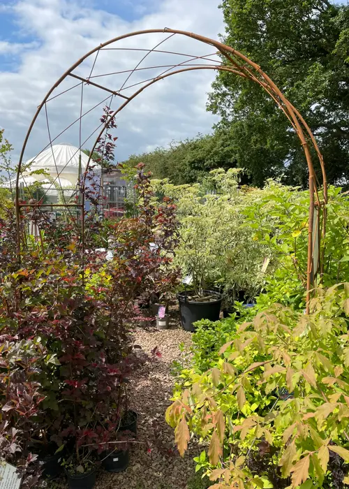 A photo of Oregon Softstanding Bare Metal Garden Arch With Infill Pack