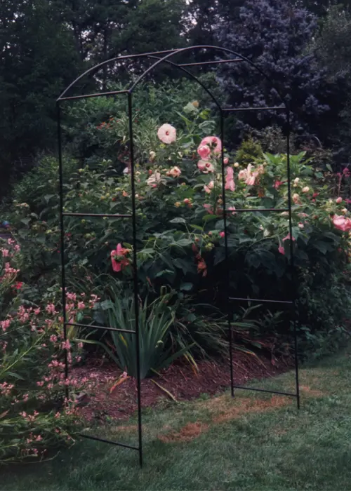A photo of Monet Softstanding Garden Arch With Infill Pack