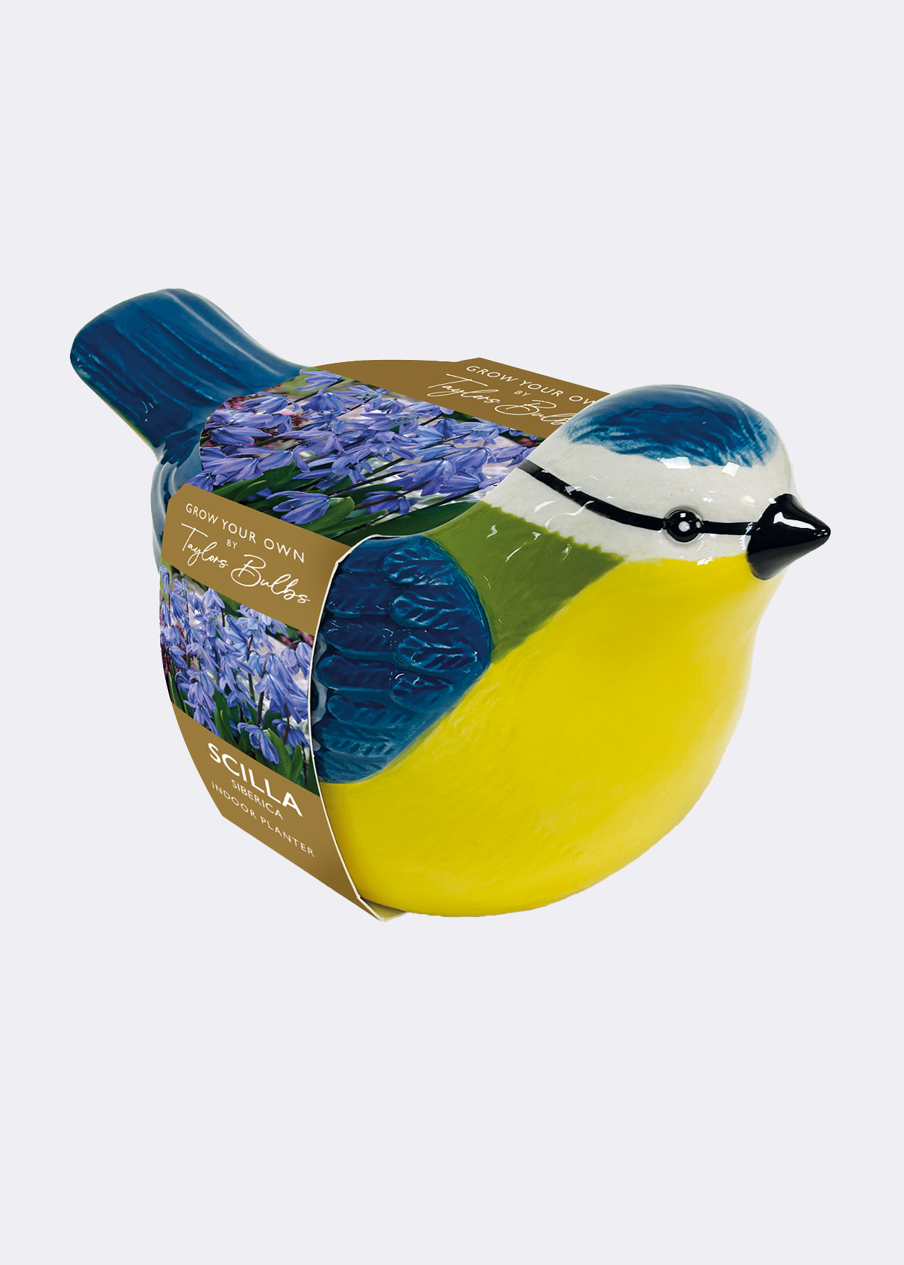 Blue Tit Planter
