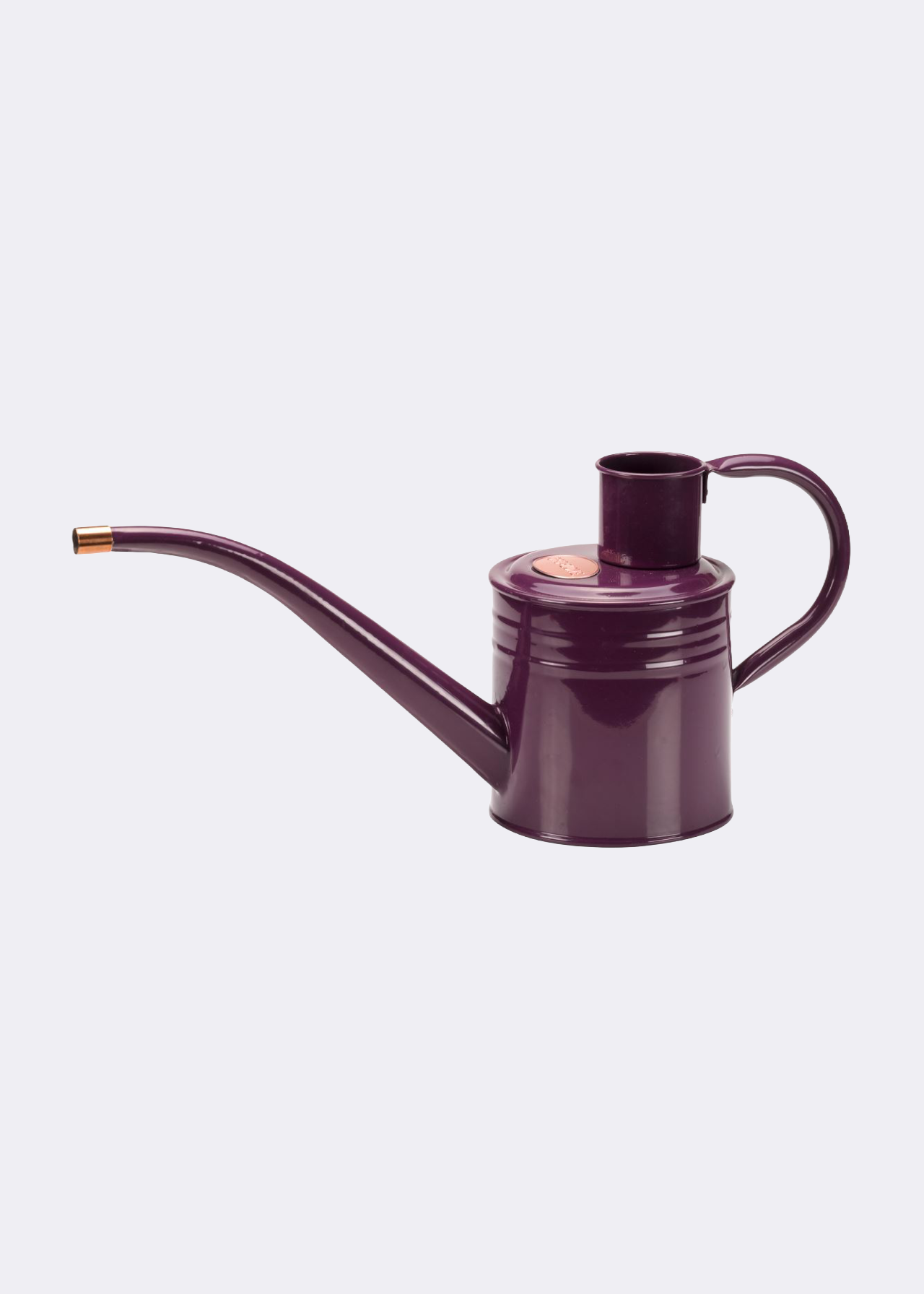 Home & Balcony Watering Can 1L Violet