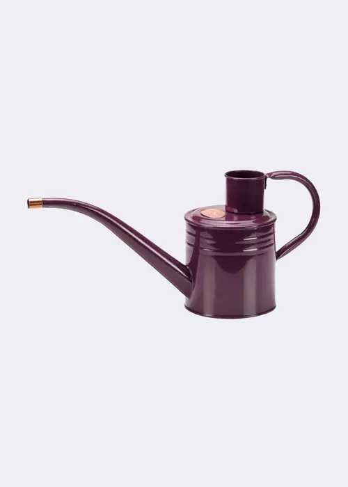 A photo of Home & Balcony Watering Can 1L Violet