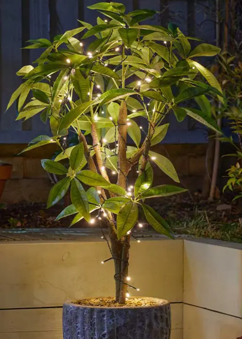 A photo of 50 Cool White Solar LED String Lights