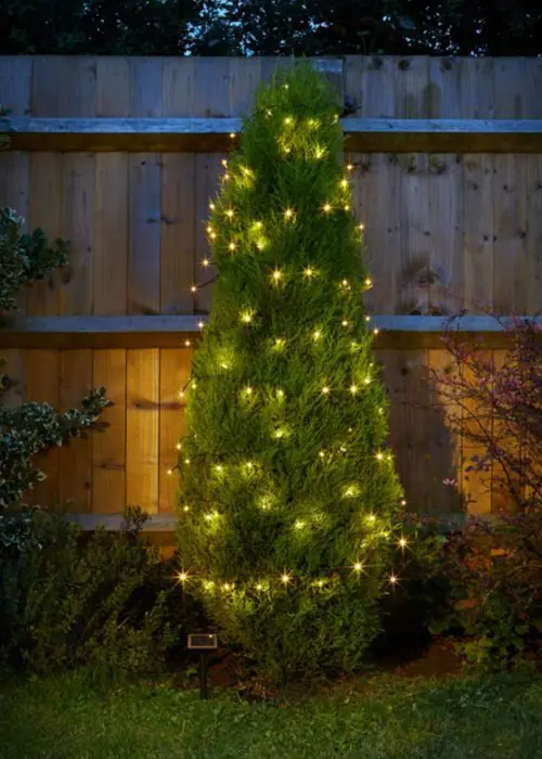 A photo of 50 Warm White Solar LED String Lights