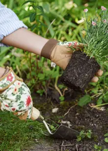 Kent & Stowe Comfort Gardening Gloves Small Cottage Garden