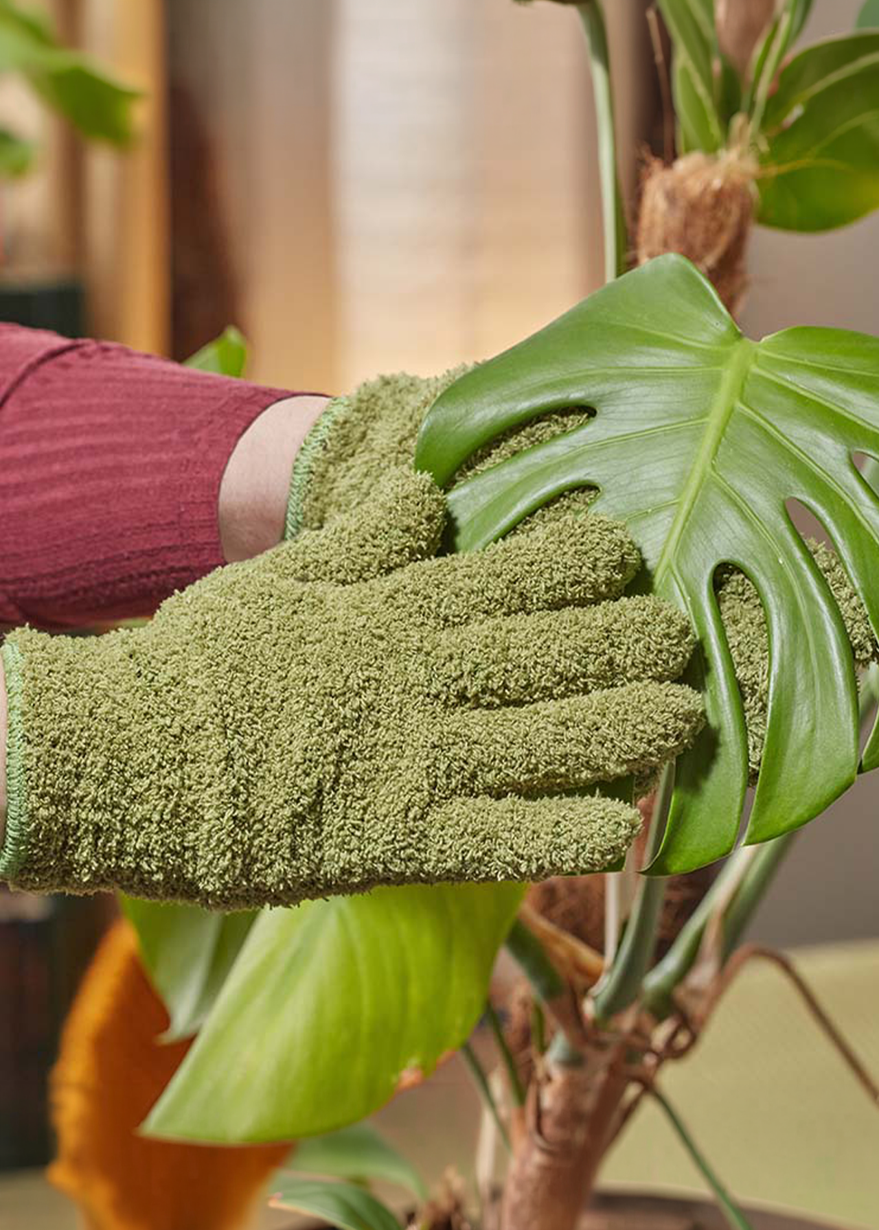 Houseplant Leaf Shine Gloves