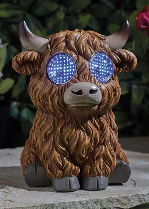 A photo of Blinkin' Highland Cow Large