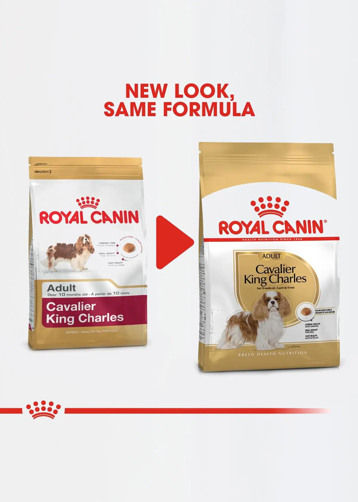 A photo of Royal Canin Adult Cavalier King Charles Dry Dog Food 1.5kg