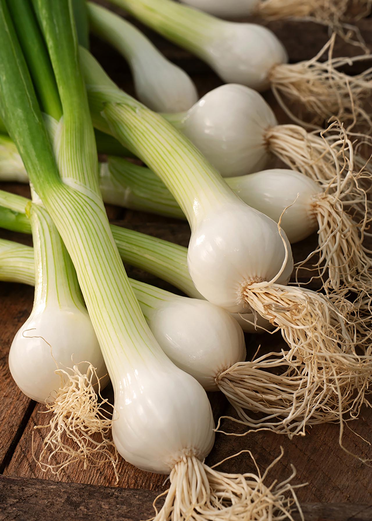 Spring Onion White Strip