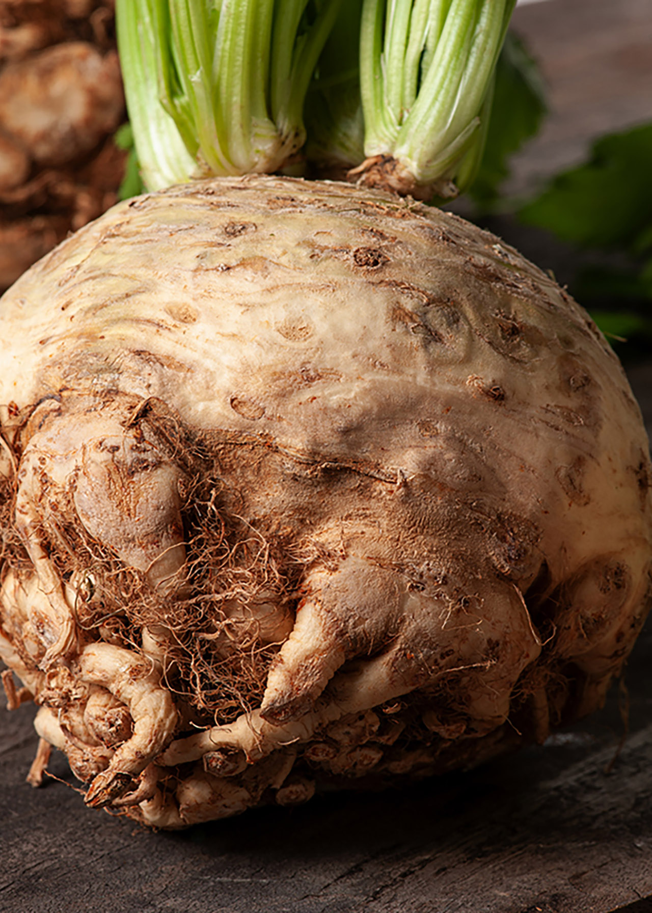 Celeriac Strip