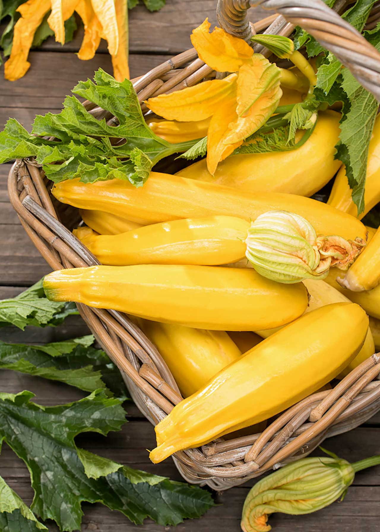 Courgette (Golden) Strip