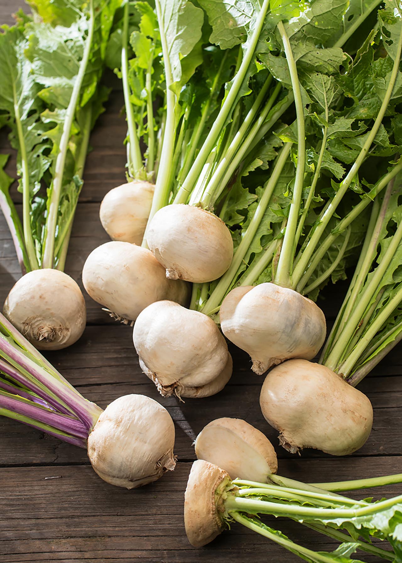 Kohl Rabi (White) Strip