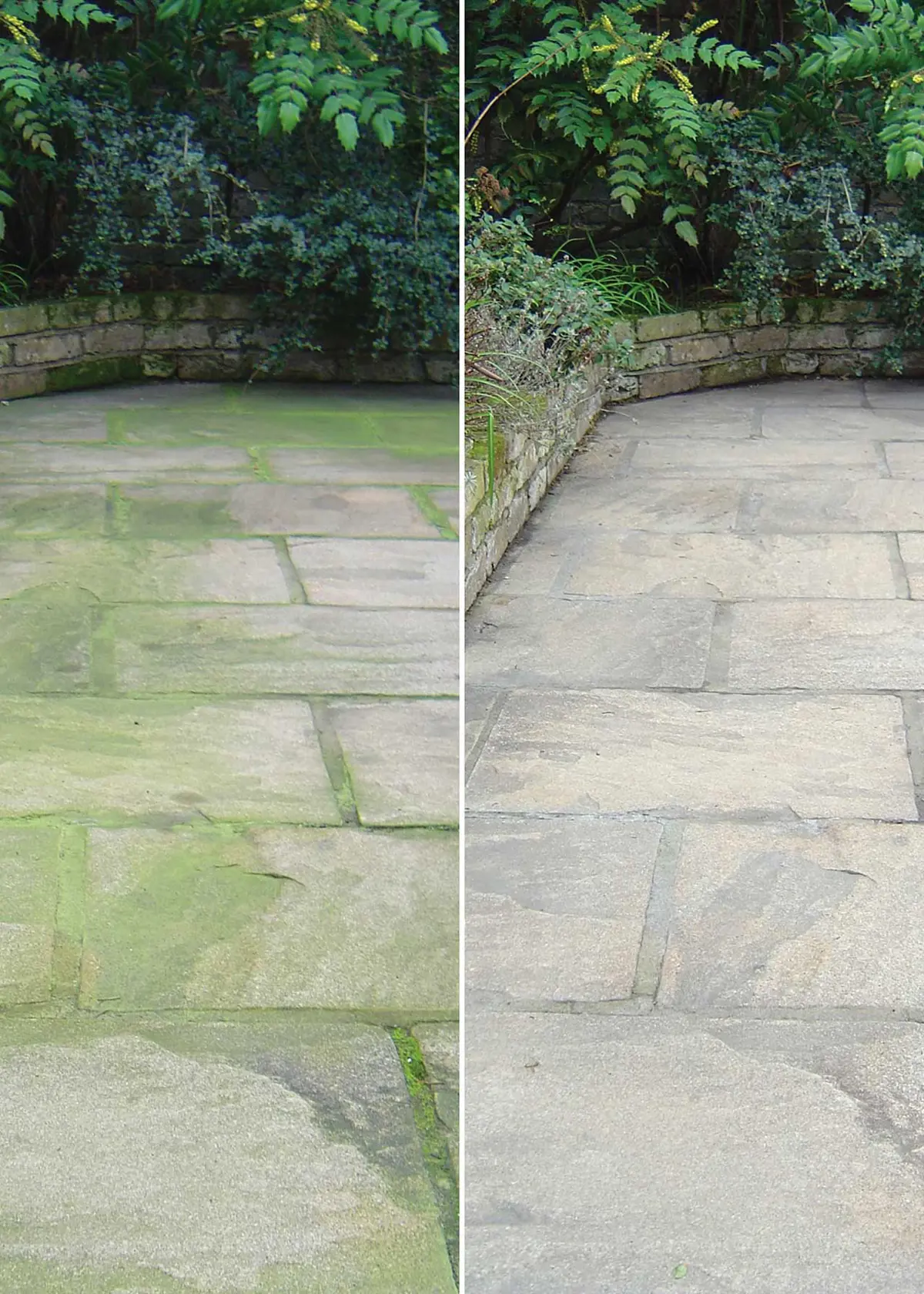 A photo of Patio Magic Solution 2.5L