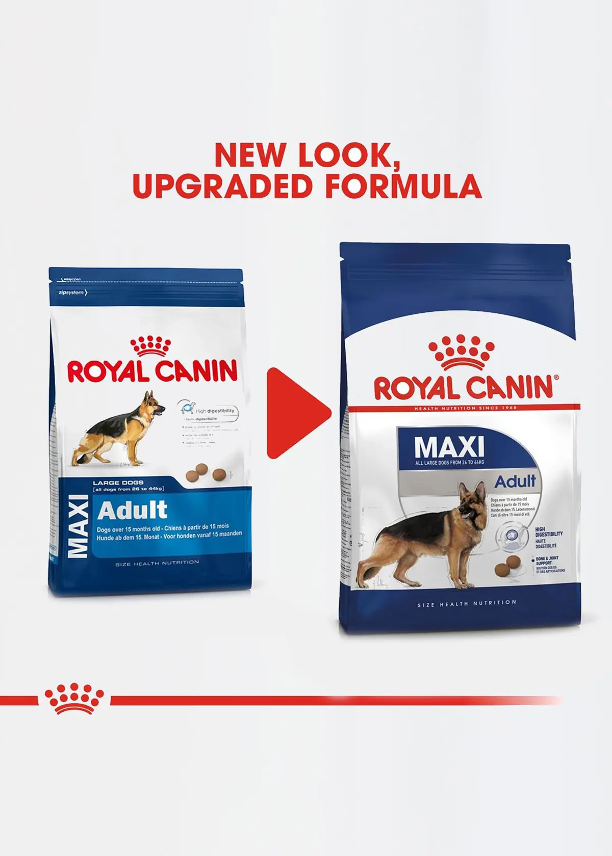 A photo of Royal Canin Maxi Adult Dry Dog Food 4kg