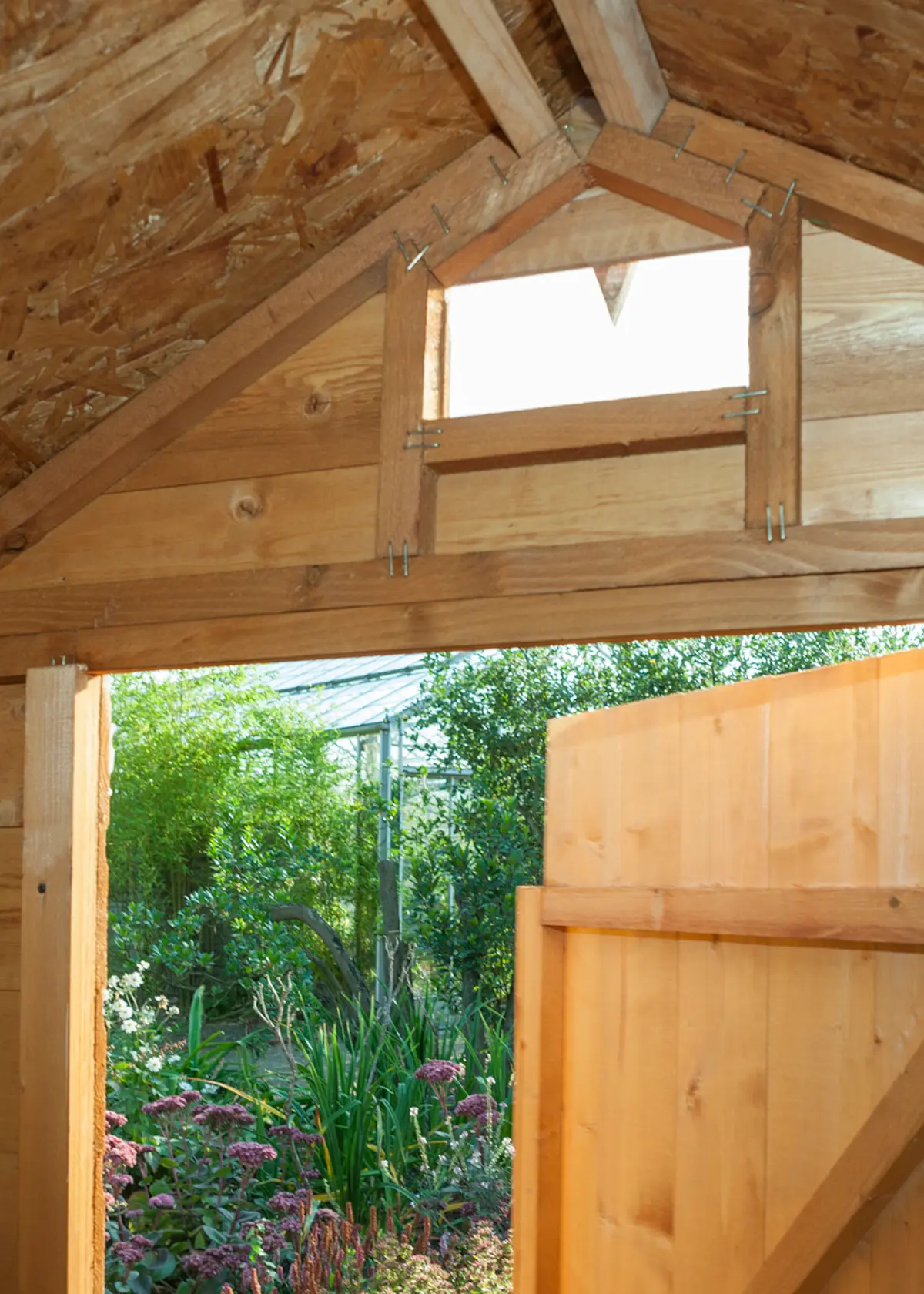 Outdoor 8x6 Security Shed