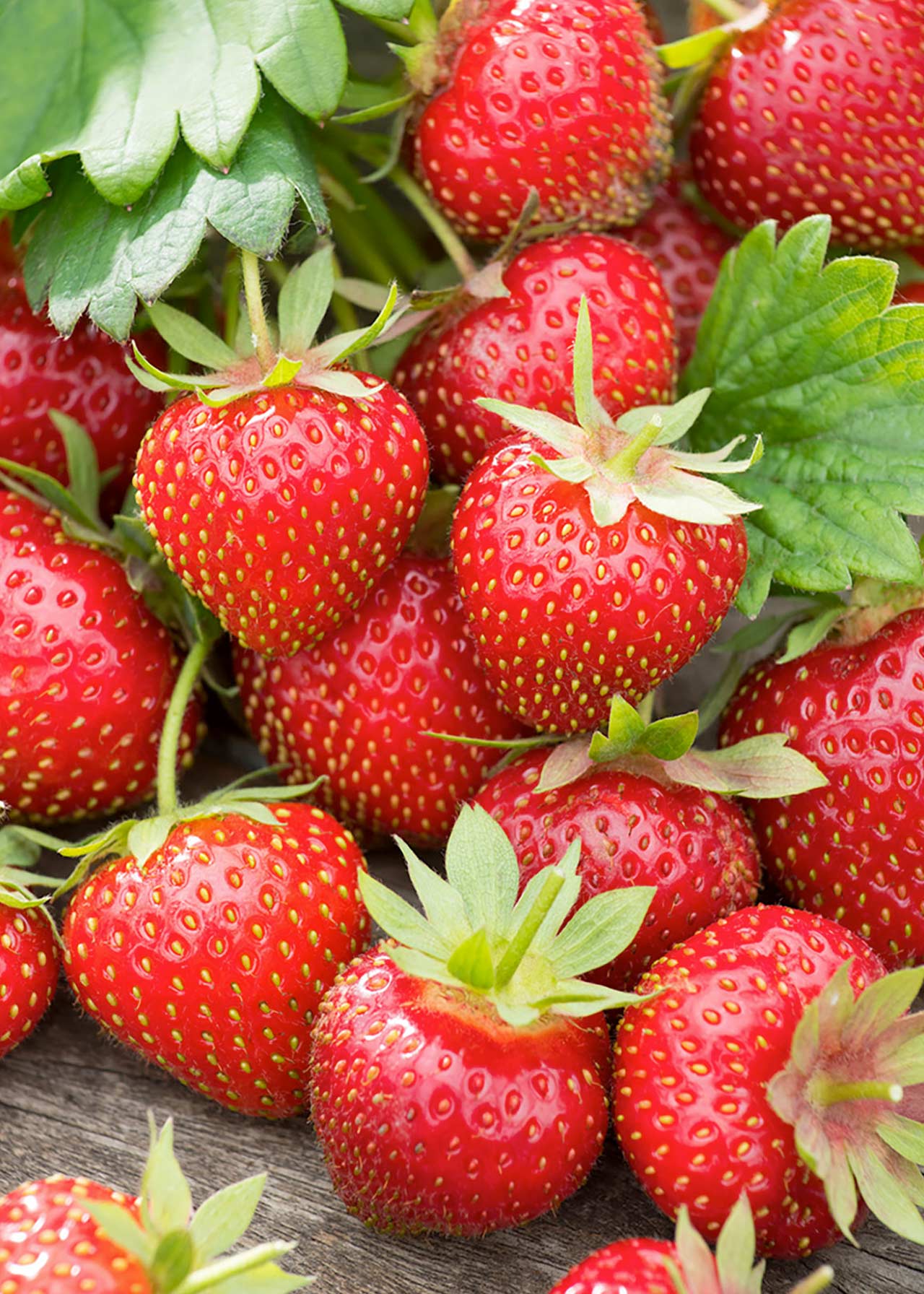Strawberry Symphony Strip