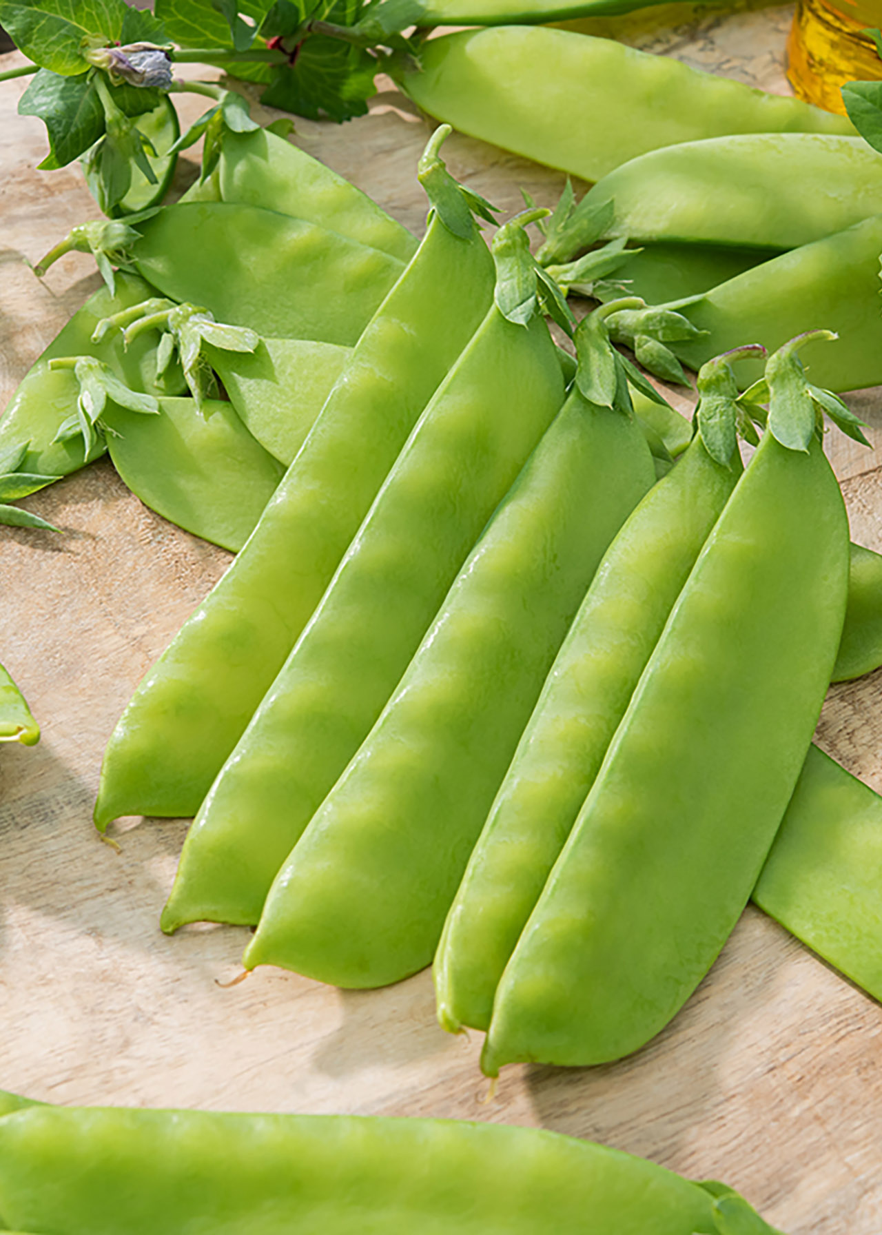 Pea Sugar Snap Strip