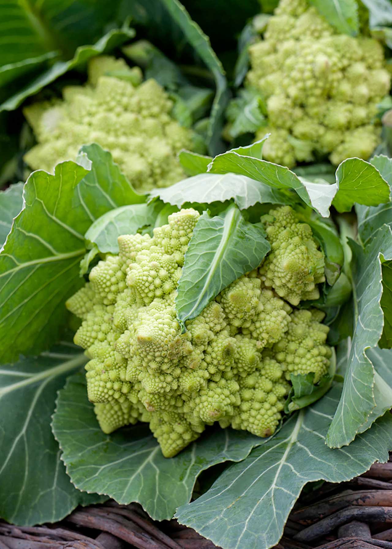 Cauliflower Romanesco Strip