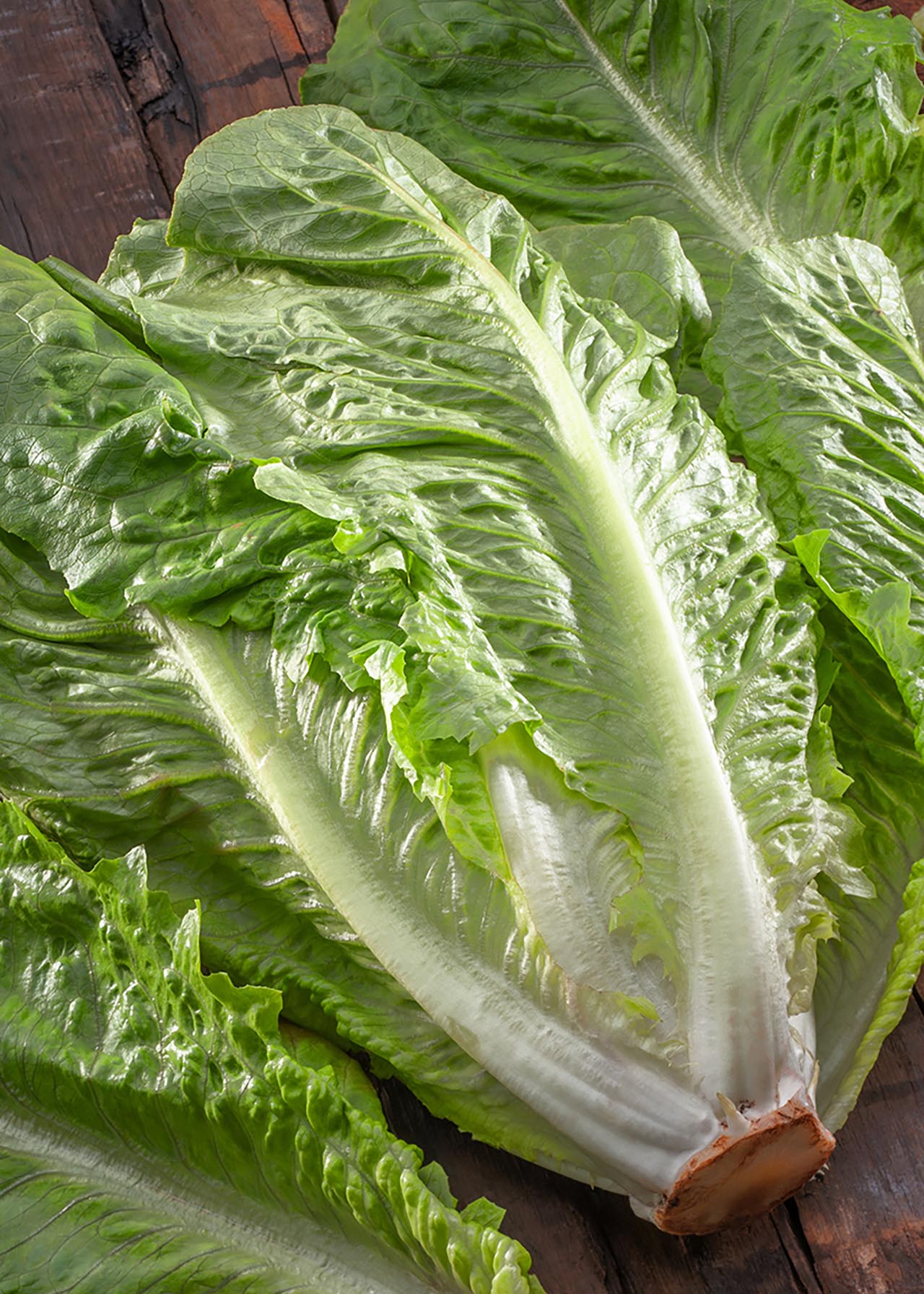 Lettuce Romaine Strip