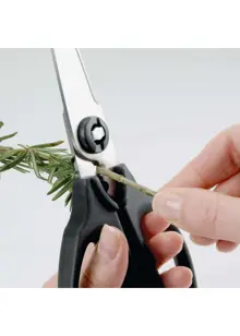 OXO Kitchen & Herb Scissors
