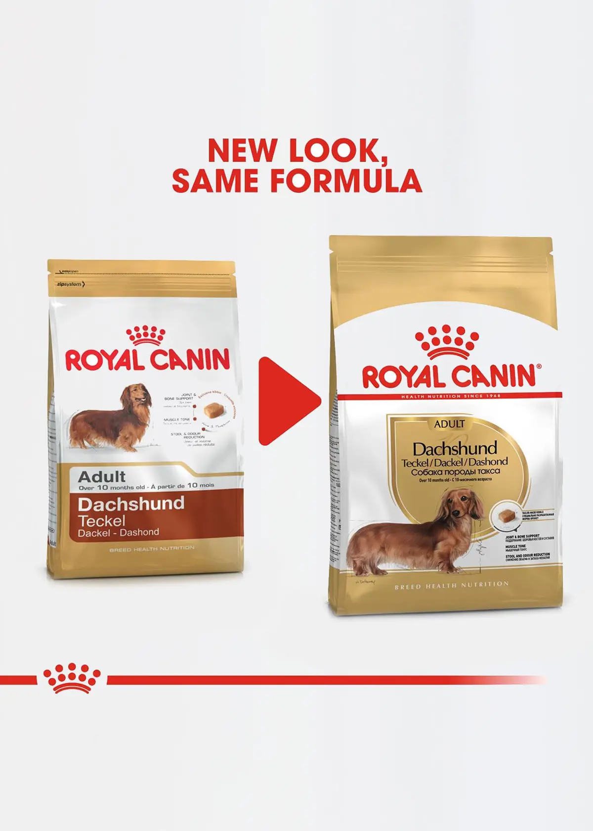 A photo of Royal Canin Adult Dachshund Dry Food 1.5kg