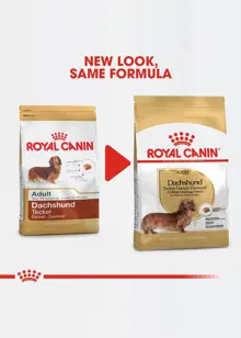 Royal Canin Adult Dachshund Dry Food 1.5kg
