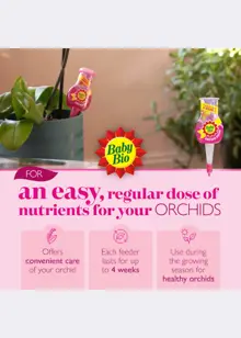 Baby Bio Orchid Food Drip Feeders 4x40ml