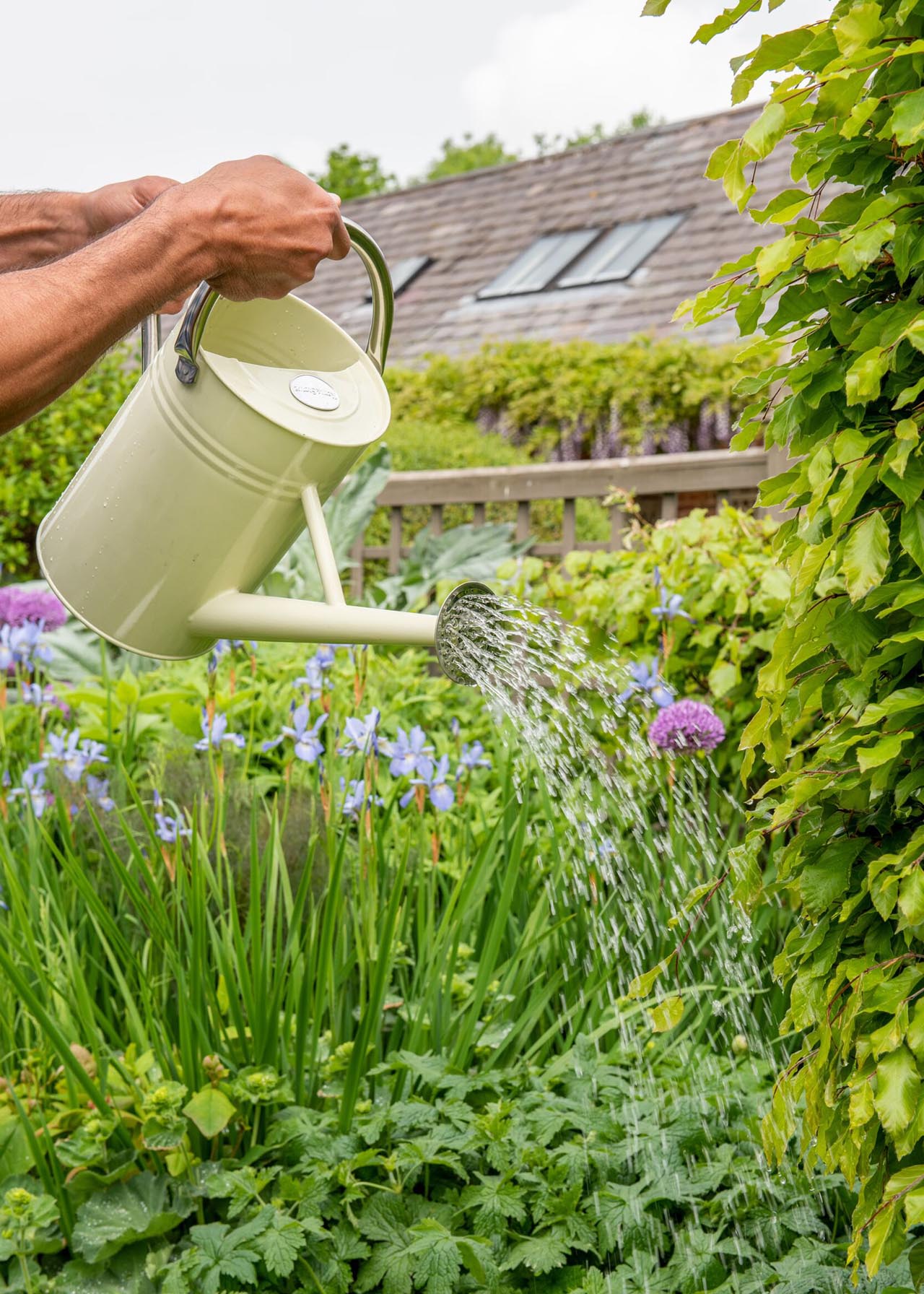 Gieter Voor De Tuin - Decoratieve Bloemendouche Met 3 Liter Inhoud Lichtgroen Blad Bloesem Design