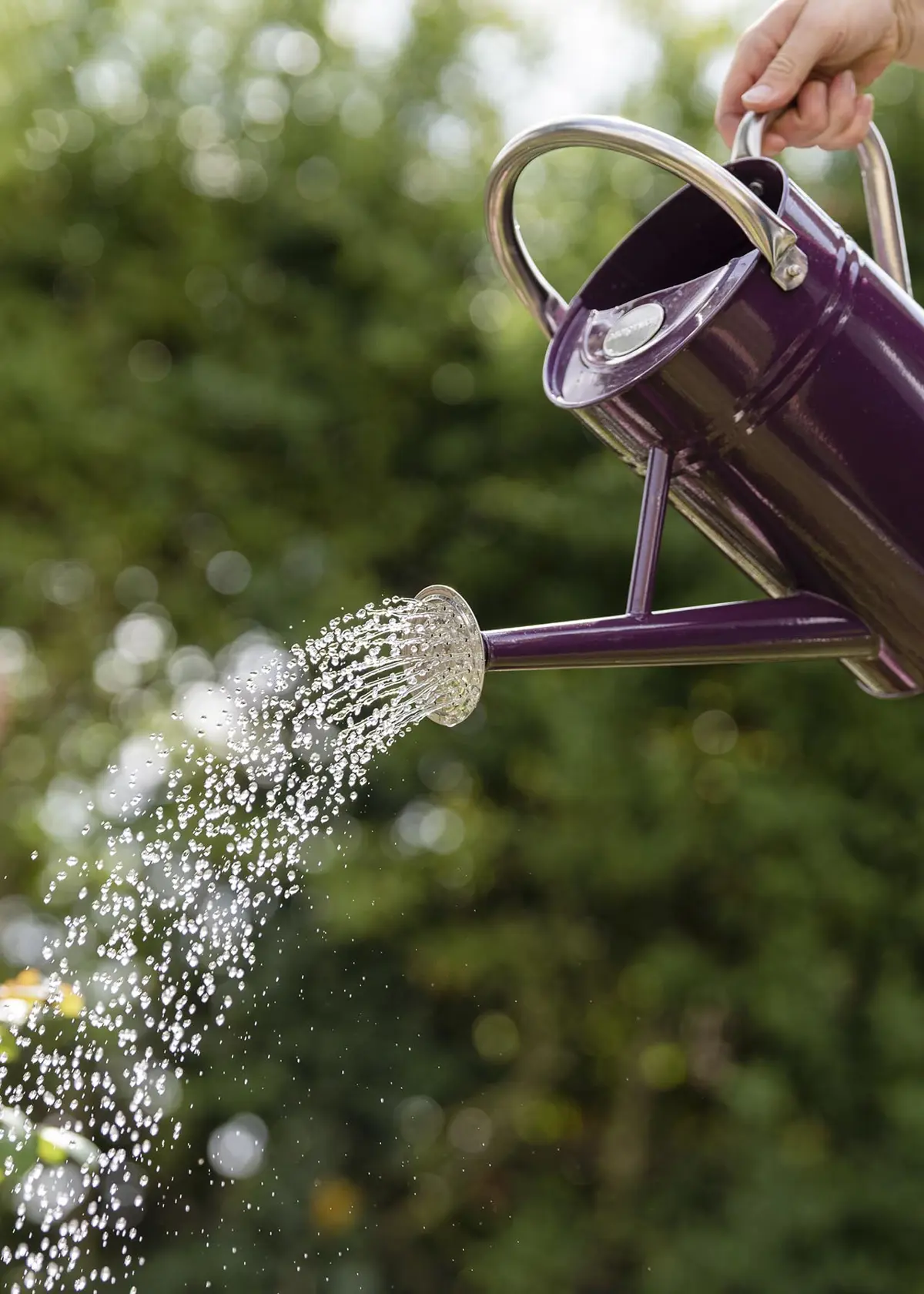 Kent & Stowe Metal Watering Can 4.5L Deep Violet