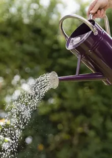Kent & Stowe Metal Watering Can 4.5L Deep Violet