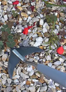 Burgon & Ball Long Handle Weed Slice