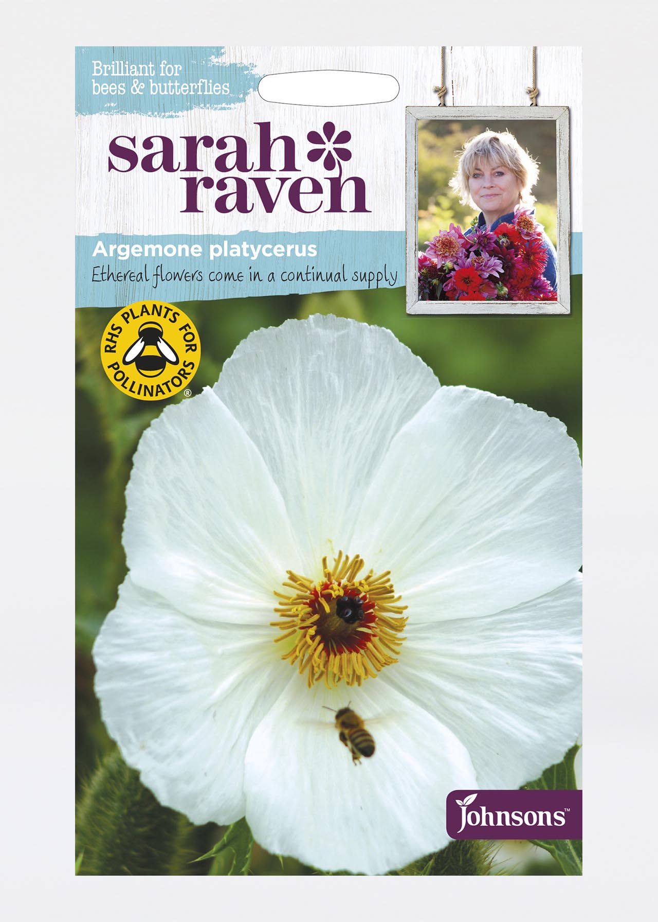 Argemone Platycerus (Prickly Poppy) Seeds