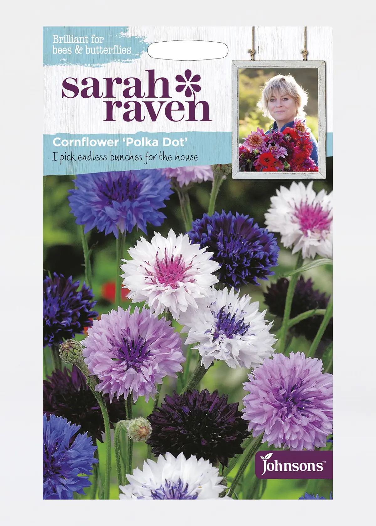 A photo of Cornflower Polka Dot Seeds