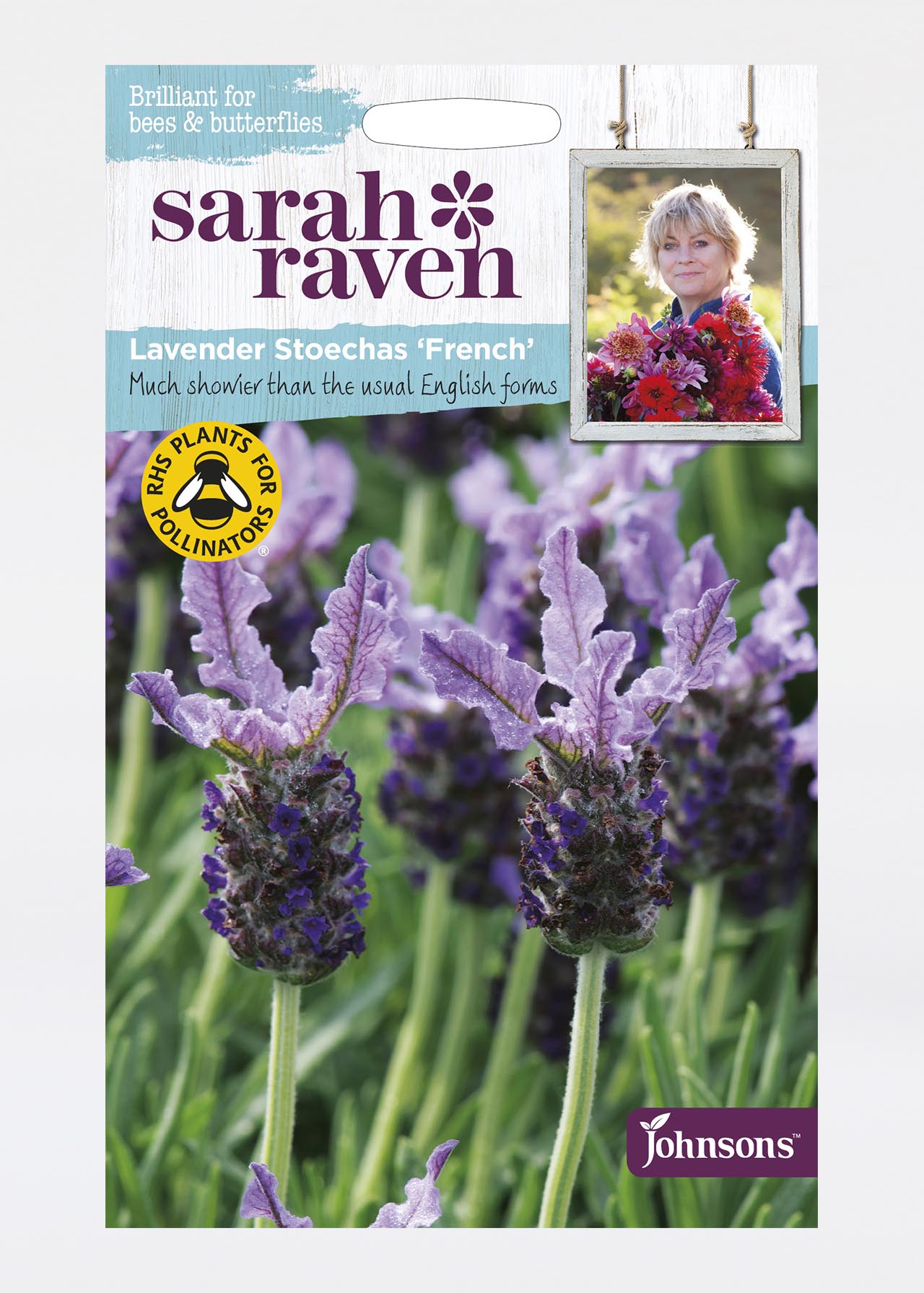 Lavender Stoechas French Seeds